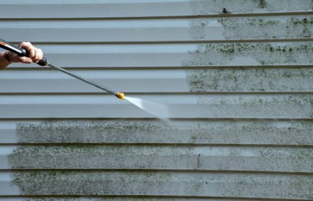 Best Sidewalk and Walkway Cleaning  in Mcallen, TX